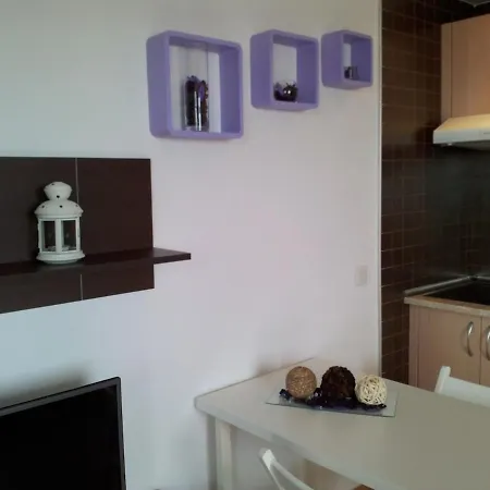 公寓 Sea View Terrace Orlando *